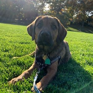 Meet your Posher, Jonathan